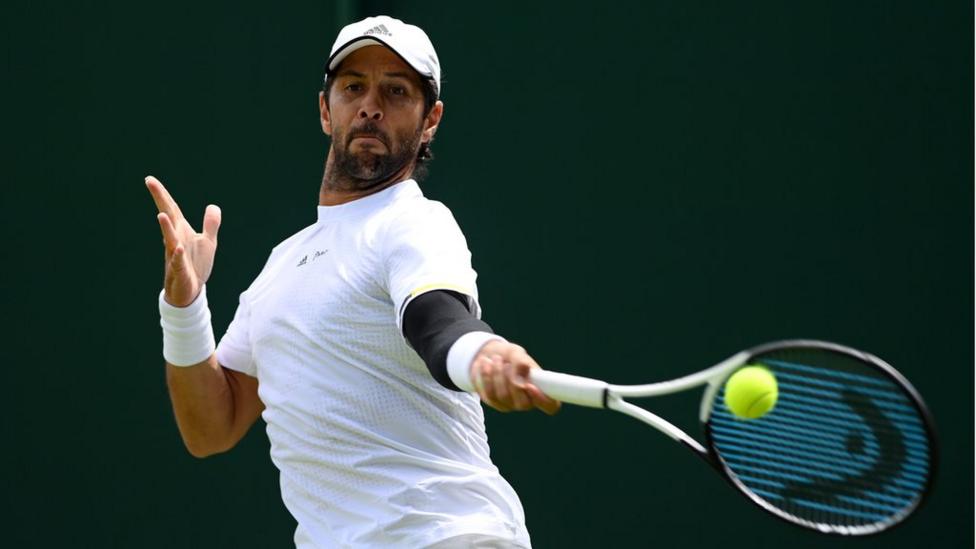 Fernando Verdasco accepts two month ban for failing to renew ADHD medication